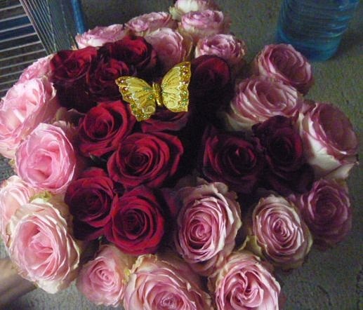 №31, Мария Григорьева, 45 лет, Домодедово №31, Мария Григорьева, 45 лет, Домодедово