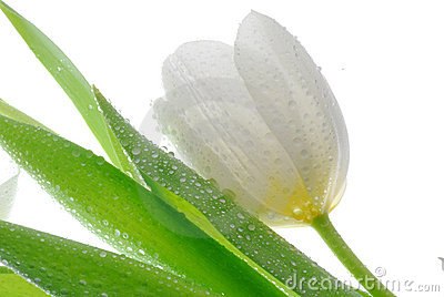 №126, Дарья Черепанова, 34 года, Екатеринбург №126, Дарья Черепанова, 34 года, Екатеринбург