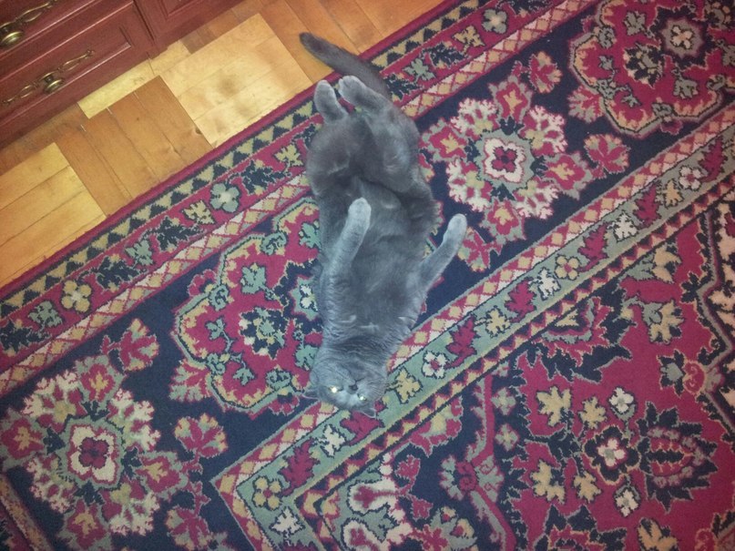 Борис Швецов | Москва