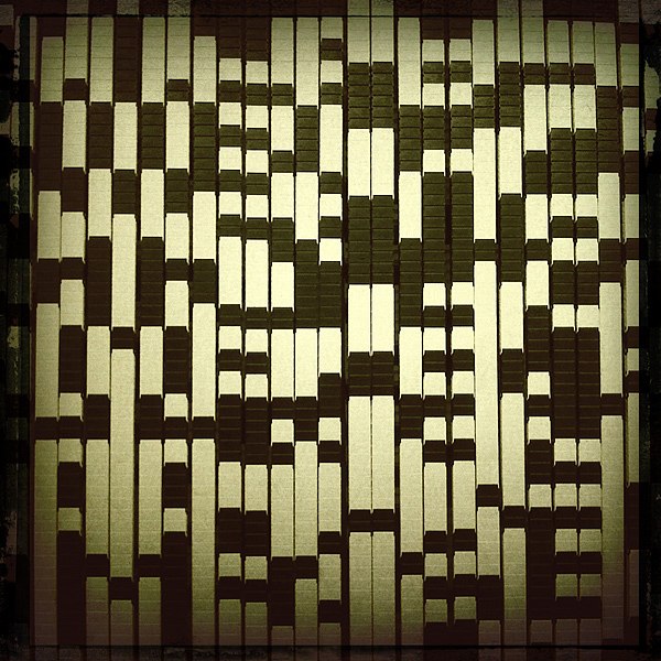 Елена Савенкова | Екатеринбург