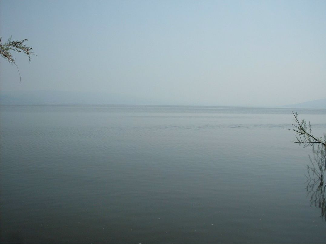 Леонид Козырёв | Ростов-на-Дону