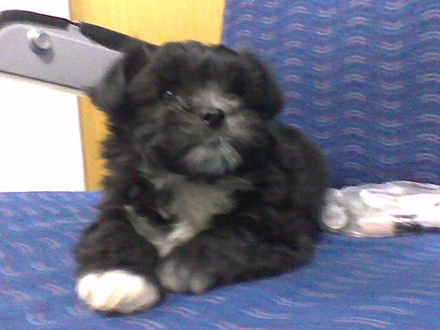 Анатолий Зюзюкин | Краснодар