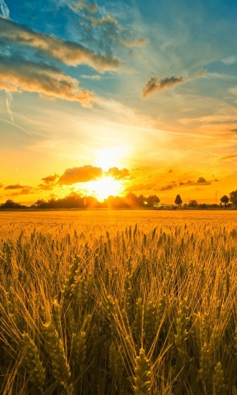 Рома Сапунов | Запорожье