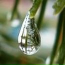 Ирина Терёшкина | Рязань