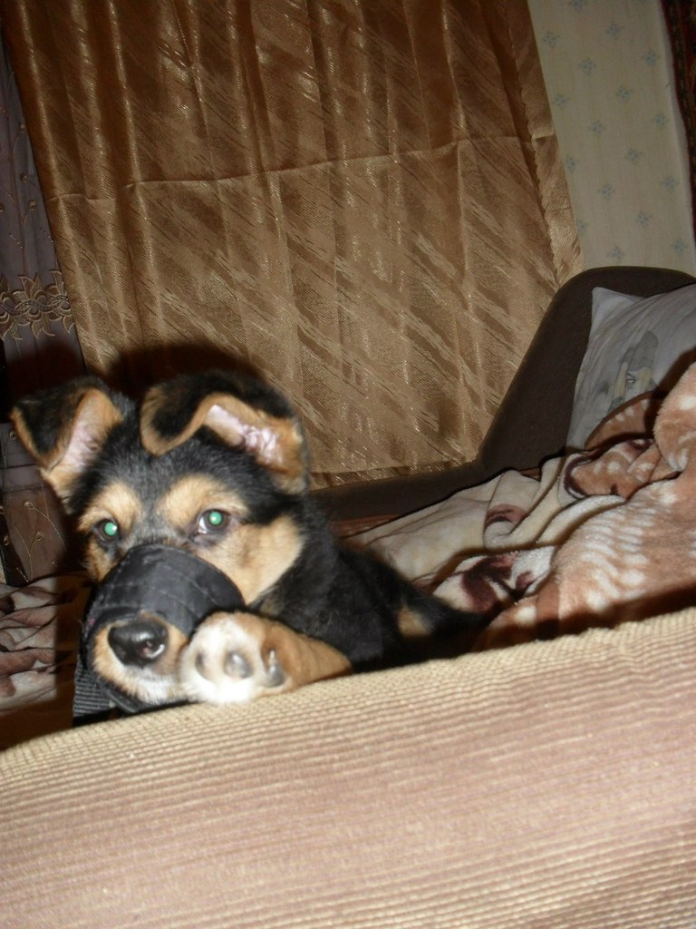 Виталия Кононова | Видное