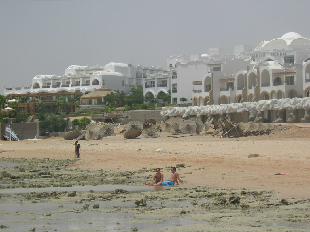 Алексей Фёдоров | Гдов