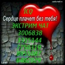 Фотография Босс Босс