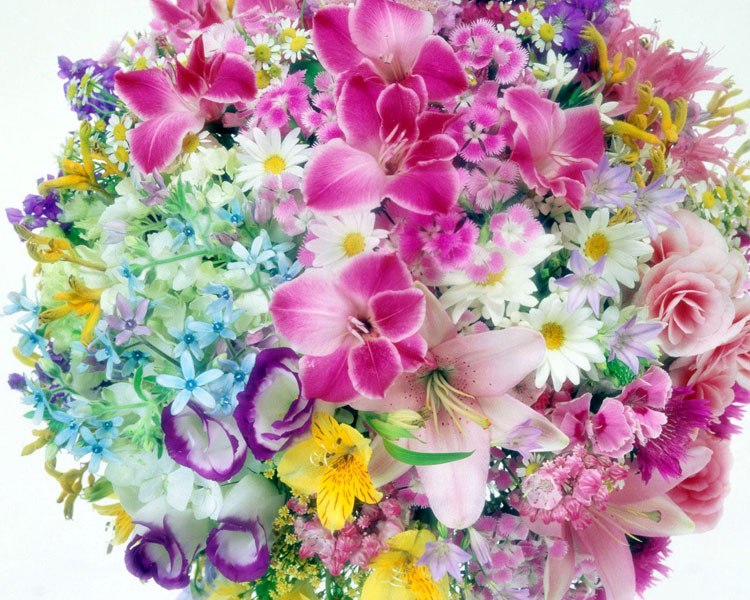 Инна Слободянюк | 