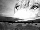 Фотография Скидченко Евгения
