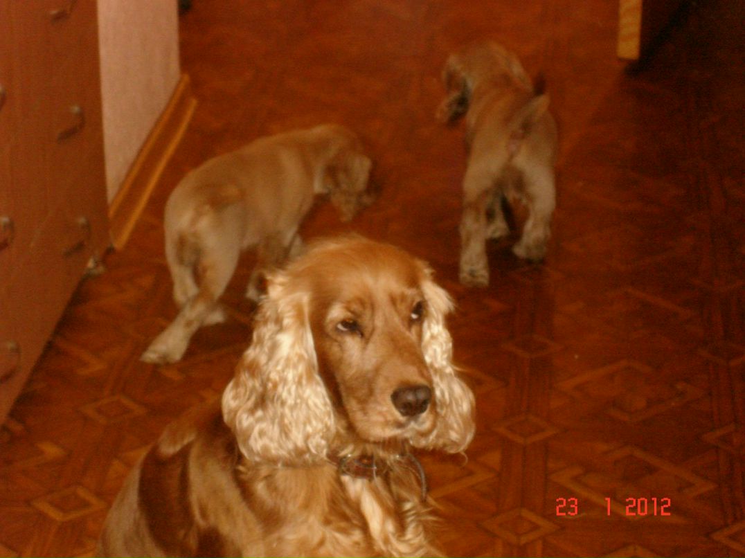 Татьяна Баранова | Киев