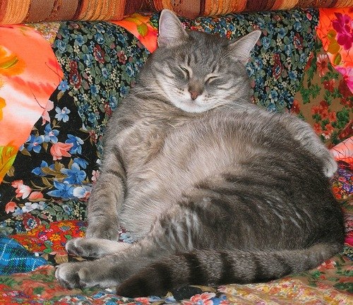 Сергей Иванов | Краснодар