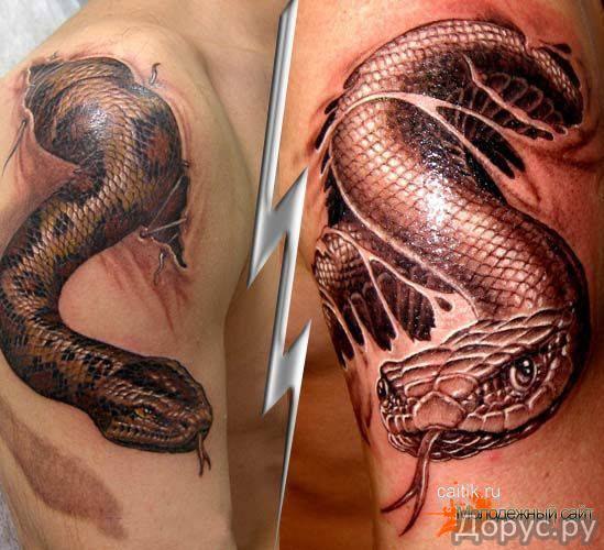 Дмитрий Беседин | Сочи