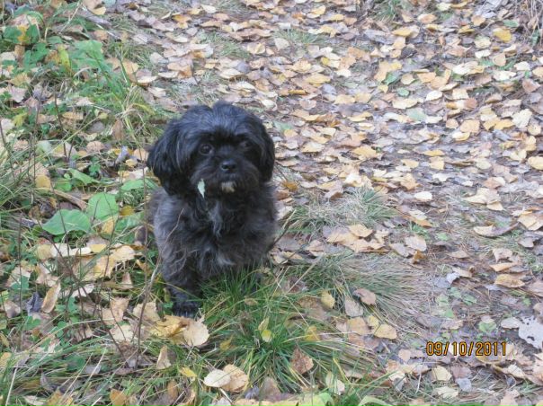 №2, Ольга Силанова, 39 лет, Екатеринбург №2, Ольга Силанова, 39 лет, Екатеринбург