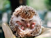 №1 Ксюша Каргапольцева 20.12: профиль, фото, статус - ВКонтакте №1 Ксюша Каргапольцева 20.12: профиль, фото, статус - ВКонтакте