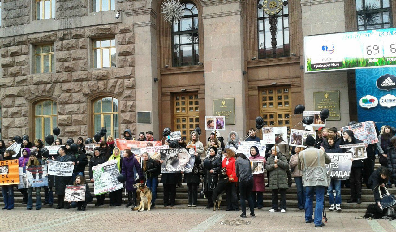 Ольга Циркун KNAGINA | Киев