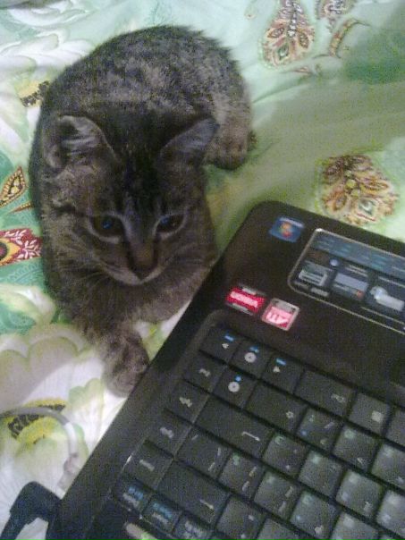 №115, Айгуль Абзалова, 35 лет, Уфа №115, Айгуль Абзалова, 35 лет, Уфа