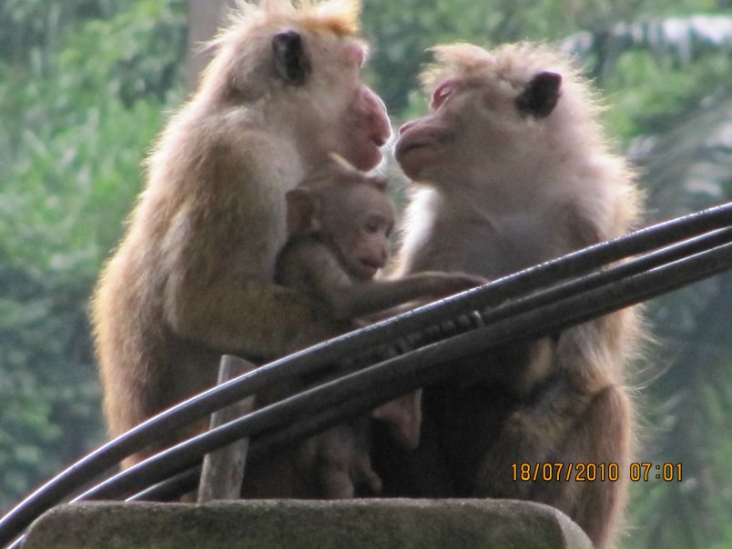 №85, Ольга Богданова, Санкт-Петербург №85, Ольга Богданова, Санкт-Петербург