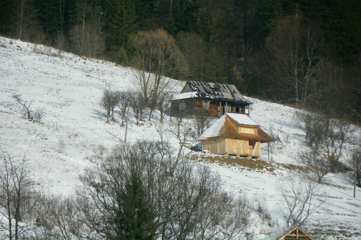 Тайла Михайлова | Ивано-Франковск
