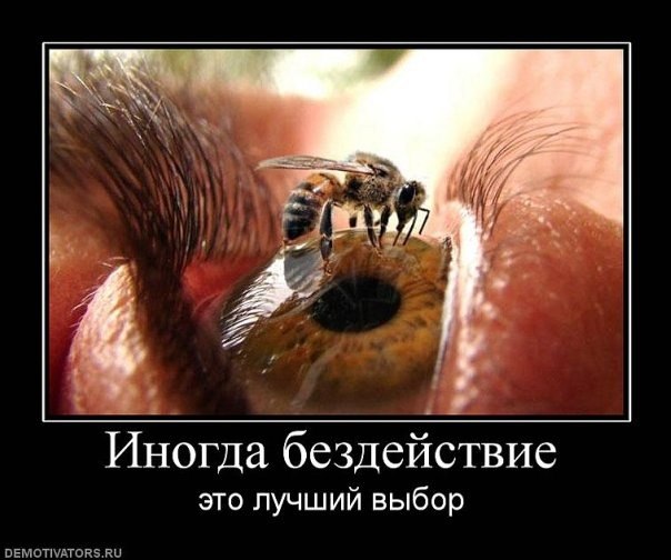 Алсу Гилязова | Казань