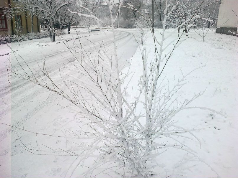 Виталий Очеретяный | 