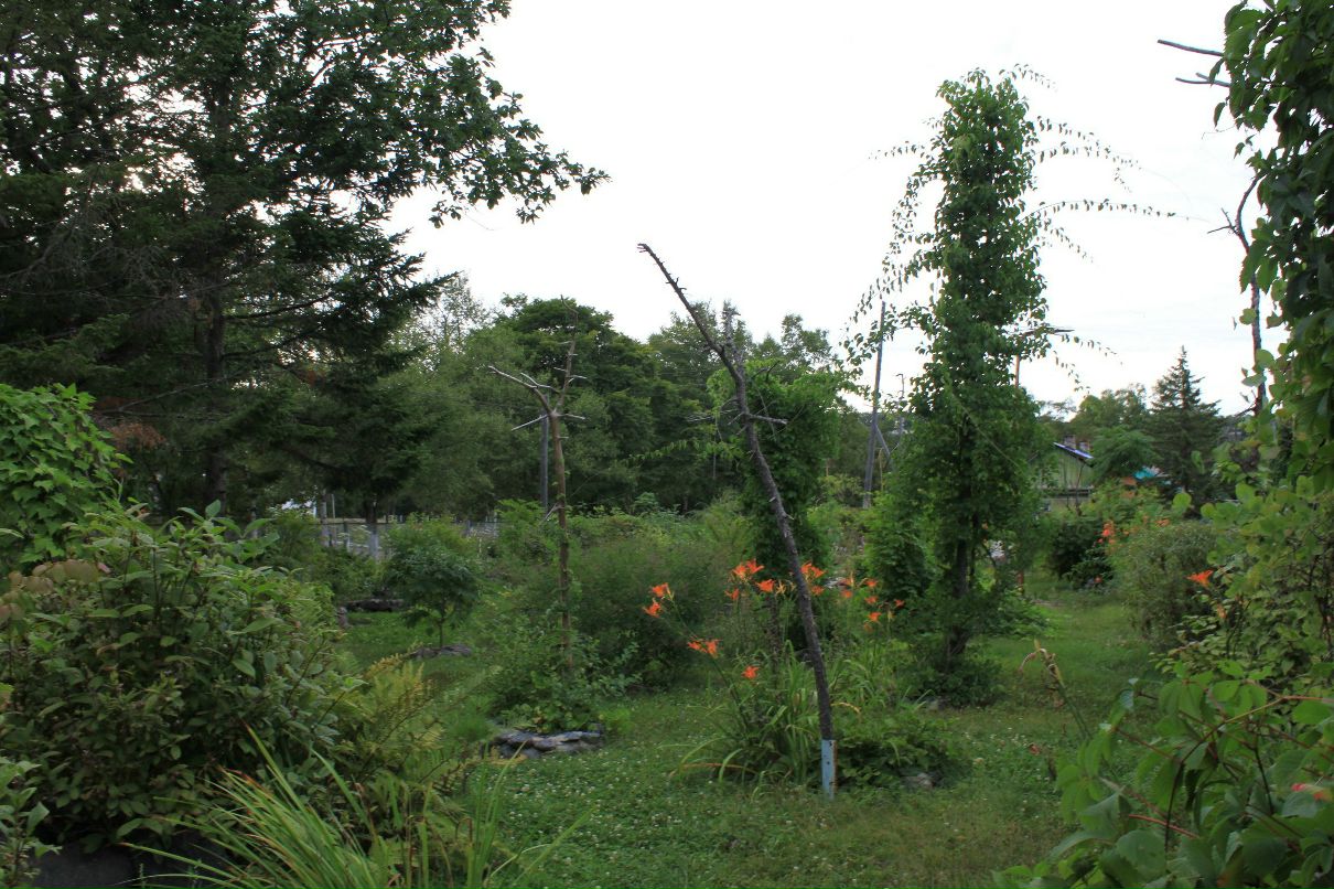 Елена Хантемирова | Екатеринбург