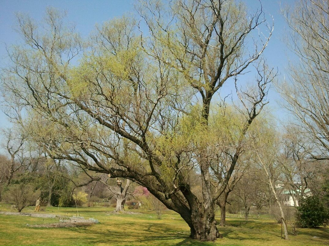 Игорь Панов | Santo Domingo