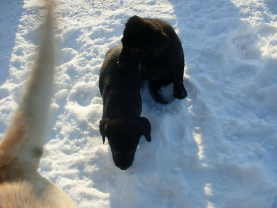 Диана Оренко | Киев