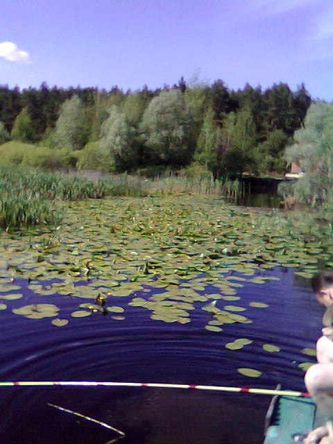 Wlad Mira | Харьков