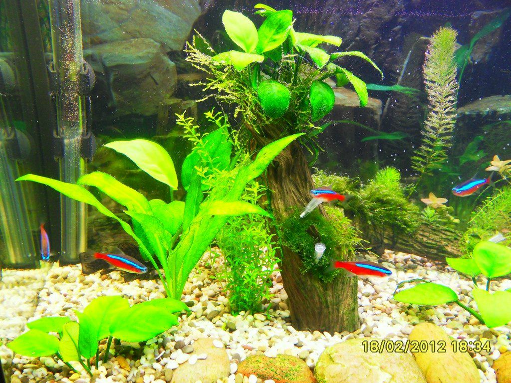 Сергей Перевалов | Екатеринбург