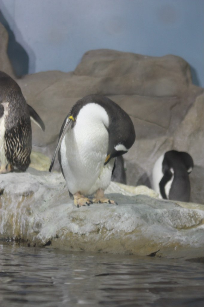 Ксюша Абдуханова | Москва