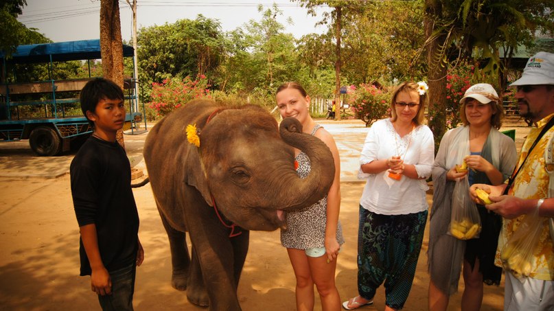 Татьяна Потапкина | 