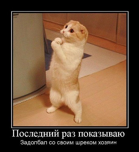 №2, Таня Которова, Мариуполь №2, Таня Которова, Мариуполь