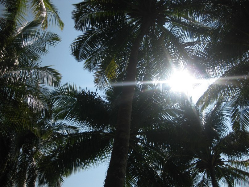 Артем Кирин | Красноярск