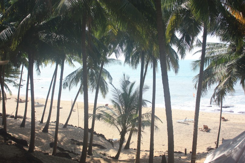 Артем Кирин | Красноярск