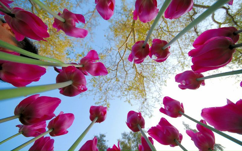 Ландыш Хасанзянова | Казань