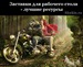 Дима Сенин фотография #29 (источник - https://vk.com/id135983236)