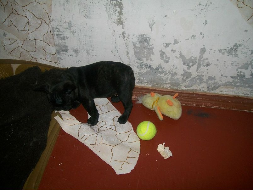 №11, Михаил Прохоров, 46 лет, Харьков №11, Михаил Прохоров, 46 лет, Харьков