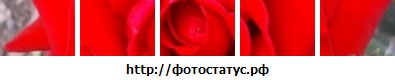№64, Ирина Билоусенко, 36 лет №64, Ирина Билоусенко, 36 лет