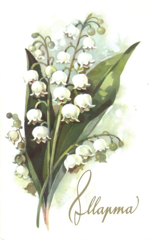 Варужан Мадоян | Санкт-Петербург