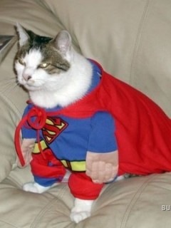 №8, Катя Руденко №8, Катя Руденко