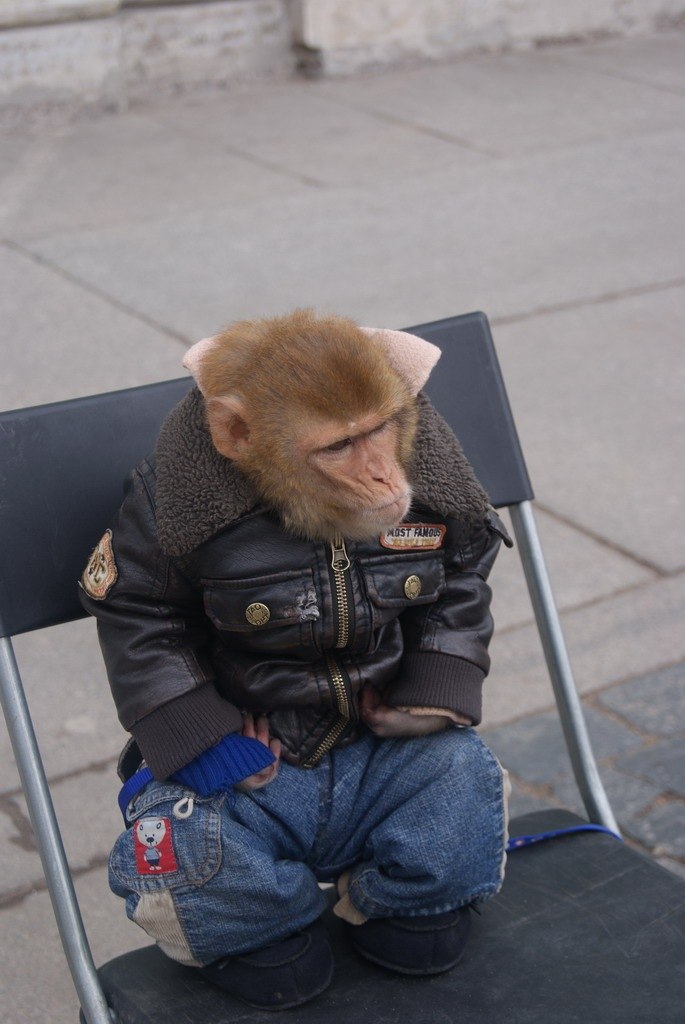 Сергей Череповский BankiRUS | Омск