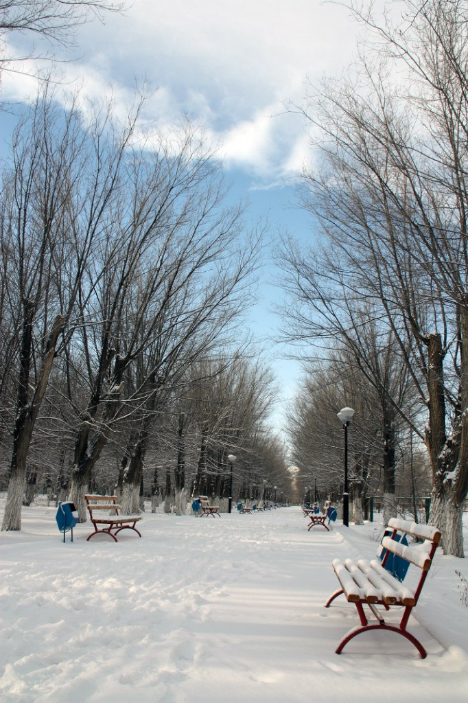 Геннадий Калмыков Ведрус | Актау