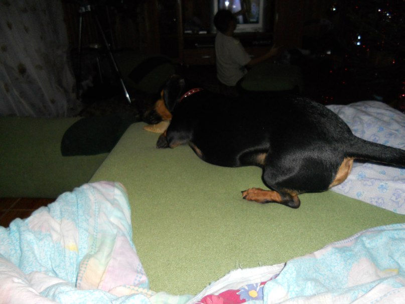 Софья Романовская | Санкт-Петербург