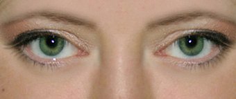 №98, Елена Телина №98, Елена Телина