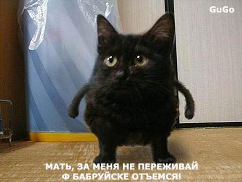 Иван Круглов | 