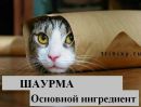 №40 Айка Алиева 14.01: профиль, фото, статус - ВКонтакте №40 Айка Алиева 14.01: профиль, фото, статус - ВКонтакте
