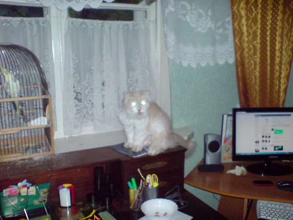 №67, Анатолий Еворенко, Севастополь №67, Анатолий Еворенко, Севастополь