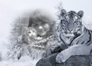 Фотография Кондратюк Олюни