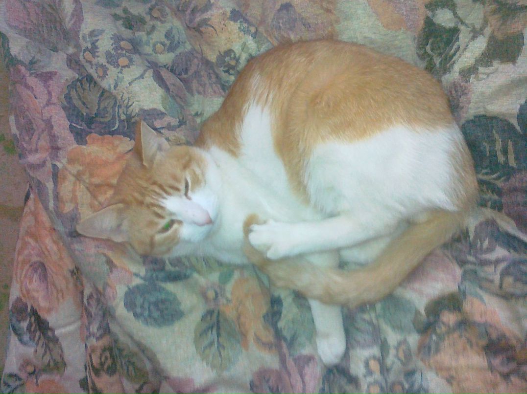 Алексей Смоловский | Нижний Новгород