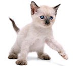 Христина Драганчук | Тернополь